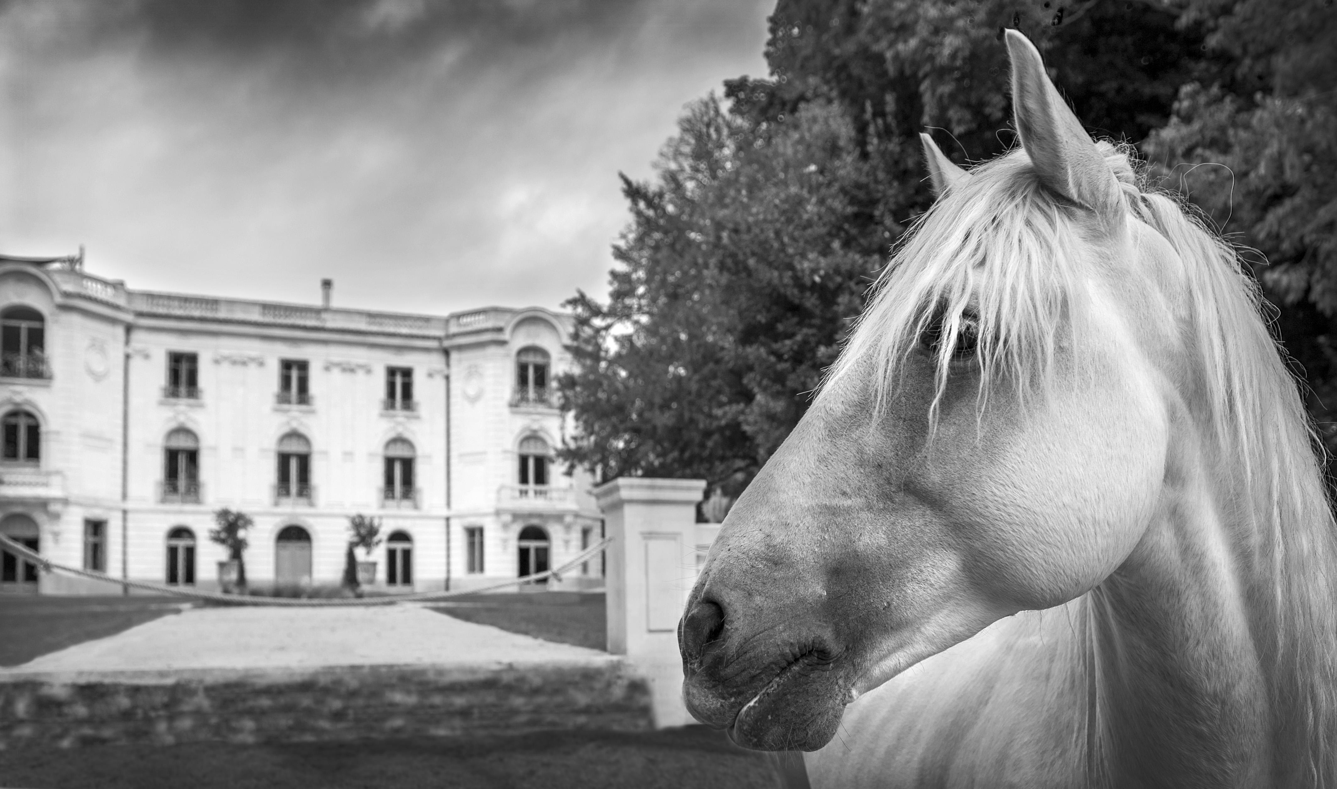 Domaine De Biar Hotel Montpellier Exterior foto